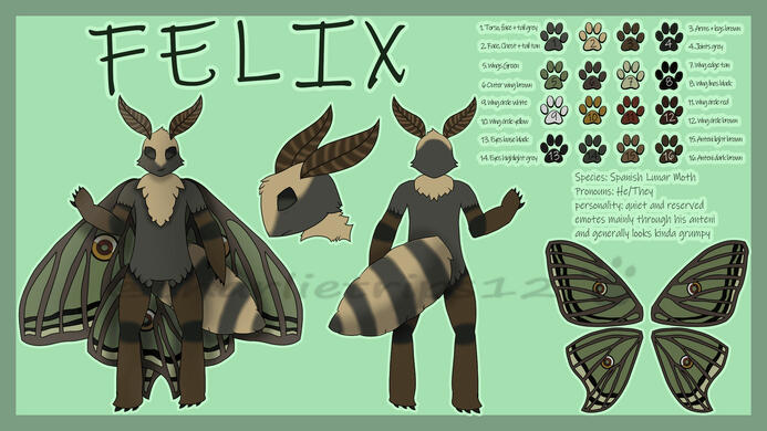 Reference sheet for Felix